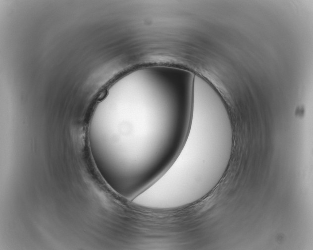 X0000092050160200709121032