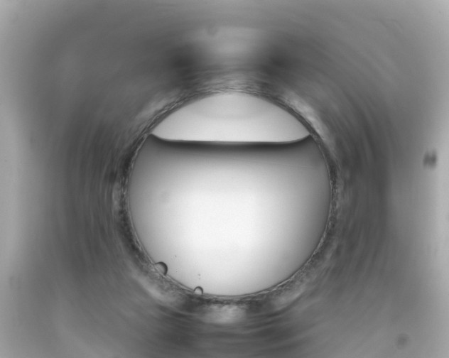 X0000092050161200709121032