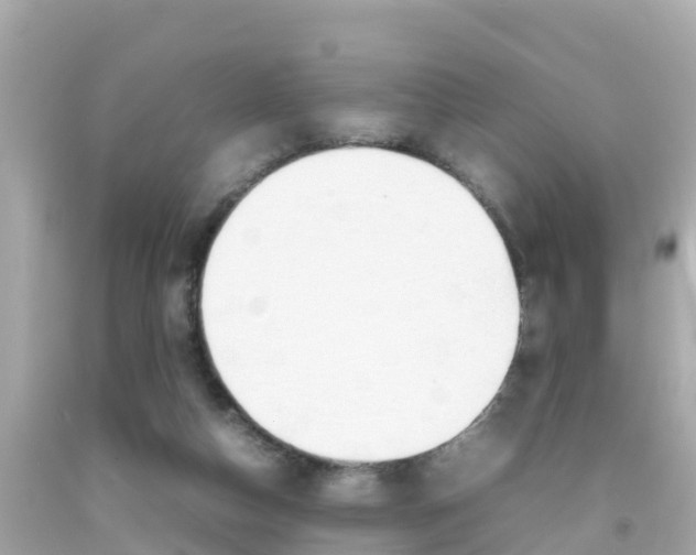 X0000092050162200709121032