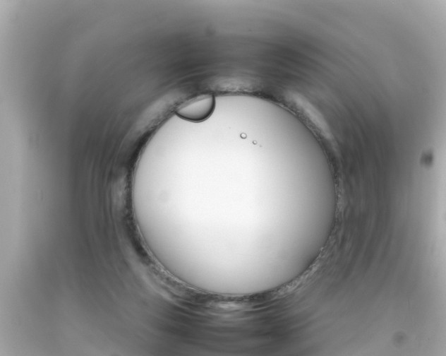 X0000092050163200709121032