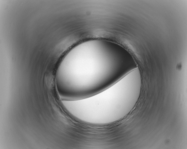 X0000092050164200709121032