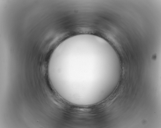 X0000092050165200709121032