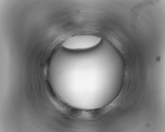 X0000092050166200709121032