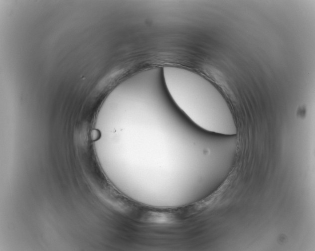 X0000092050167200709121032