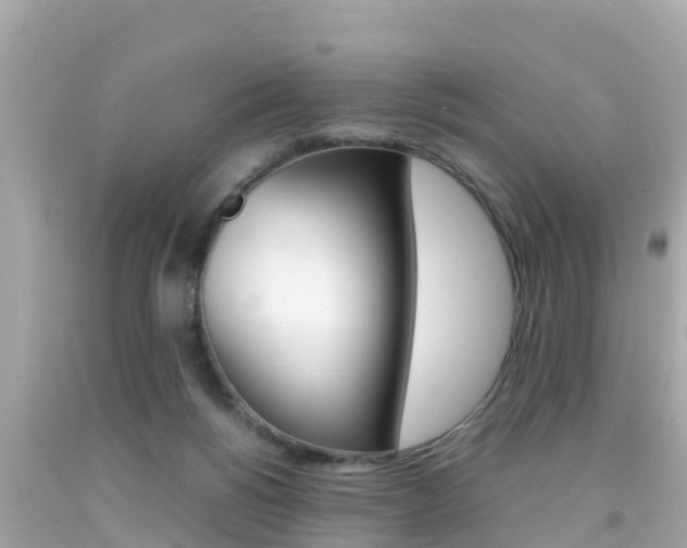 X0000092050168200709121032