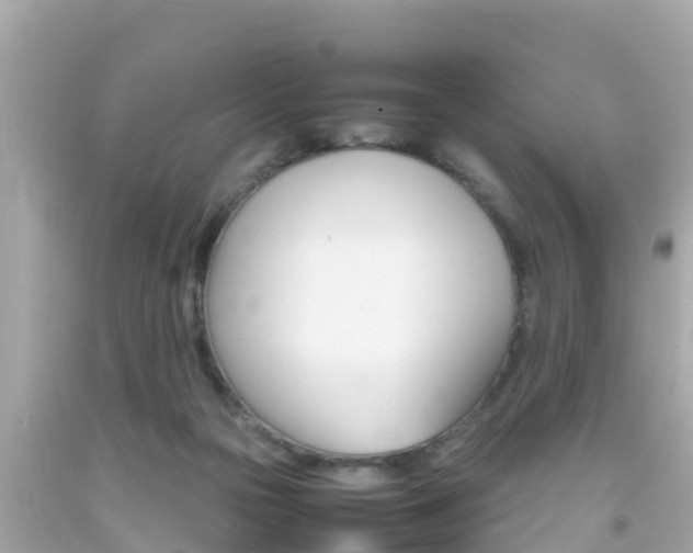 X0000092050169200709121032