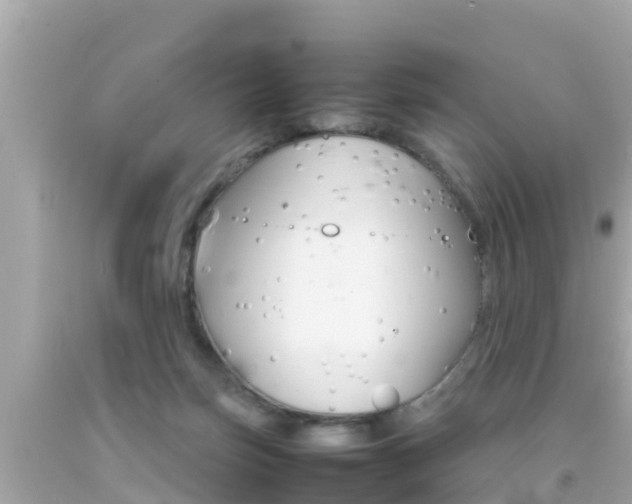 X0000092050171200709121032