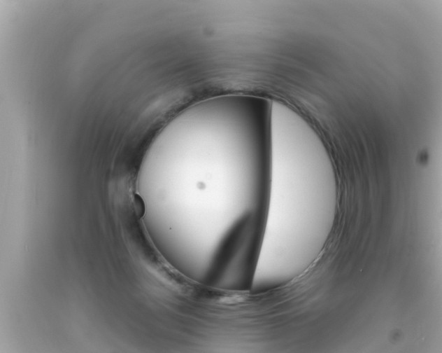 X0000092050172200709121032