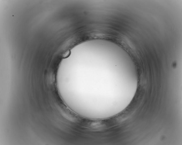 X0000092050173200709121032