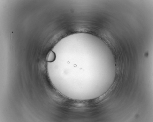 X0000092050175200709121032