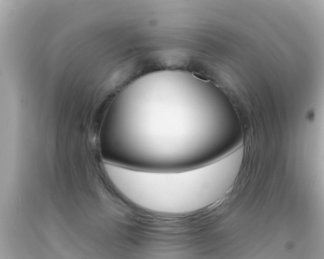 X0000092050176200709121032