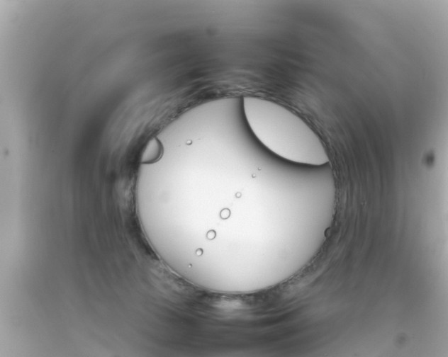 X0000092050177200709121032