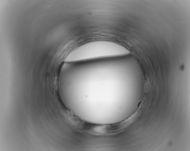 X0000092050178200709121032