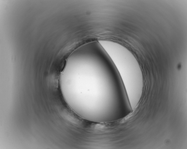 X0000092050180200709121032