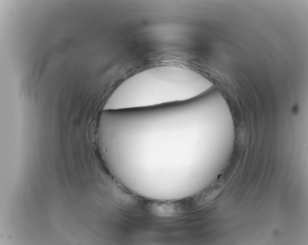 X0000092050181200709121032