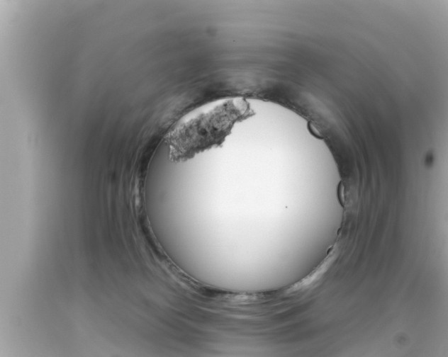 X0000092050182200709121032