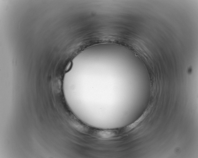 X0000092050183200709121032