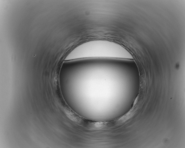 X0000092050184200709121032