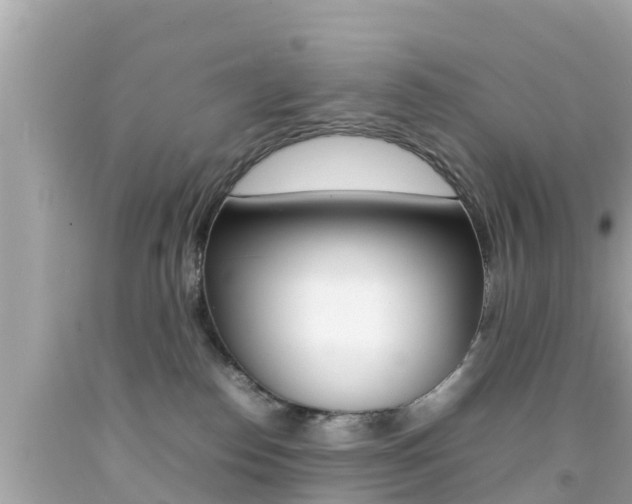 X0000092050186200709121032