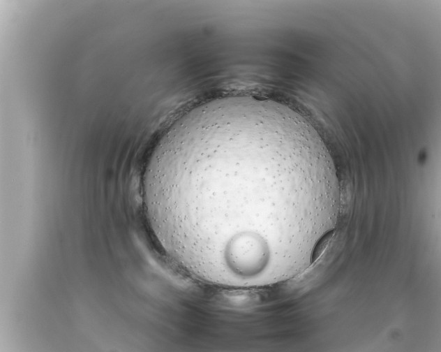 X0000092050187200709121032