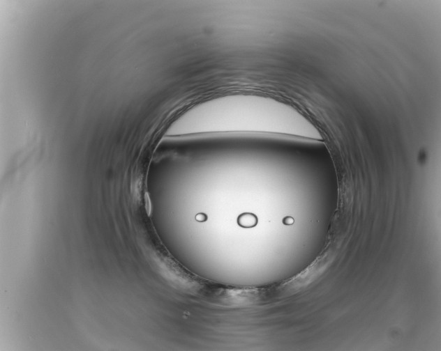 X0000092050188200709121032