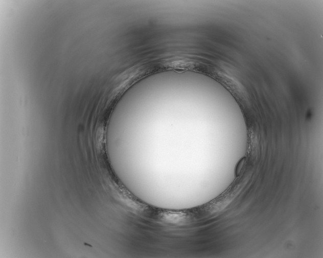 X0000092050189200709121032