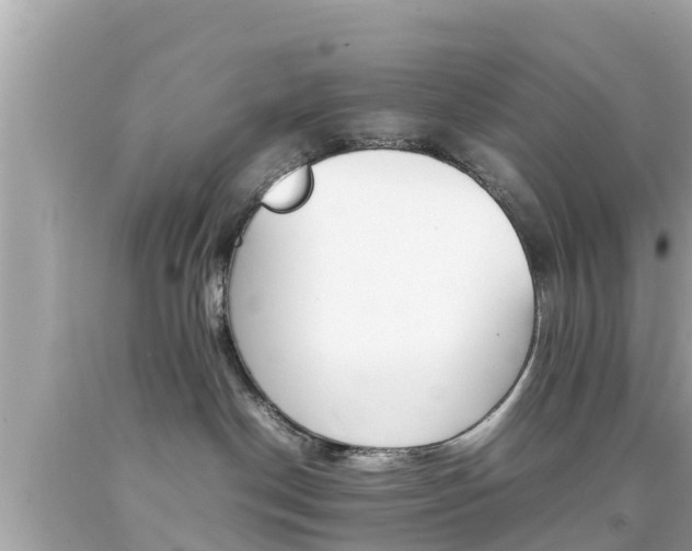 X0000092050190200709121032