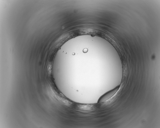 X0000092050191200709121033