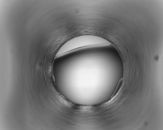 X0000092050192200709121033