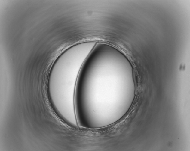 X0000092050193200709121032