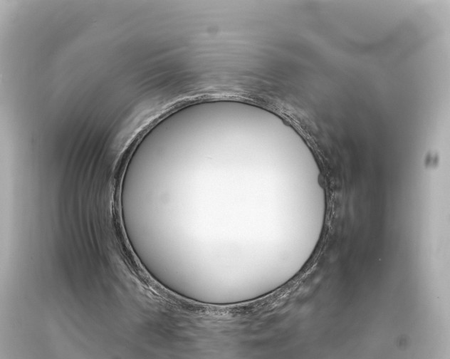 X0000092050194200709121032