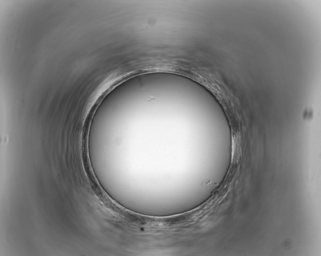 X0000092050195200709121032