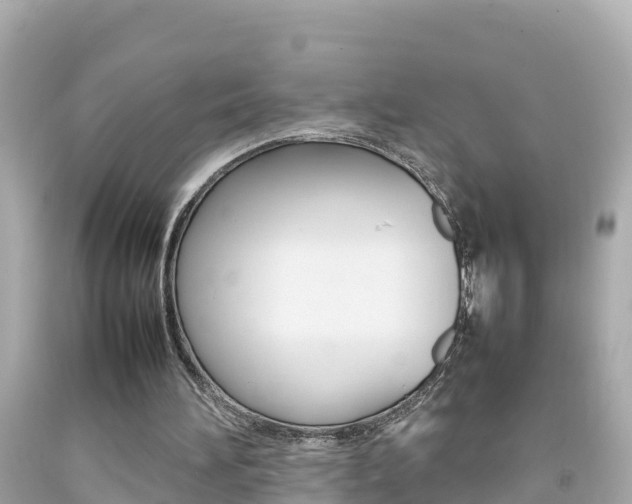 X0000092050196200709121032