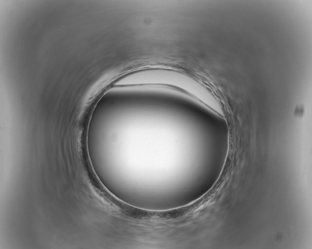 X0000092050197200709121032