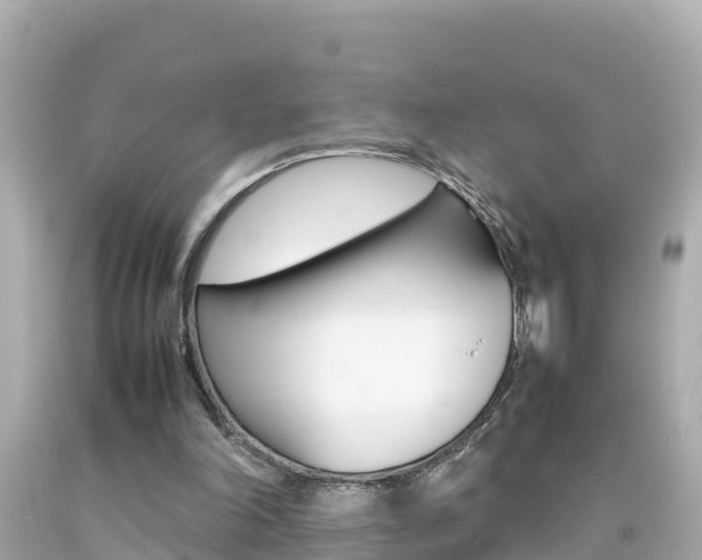 X0000092050198200709121032