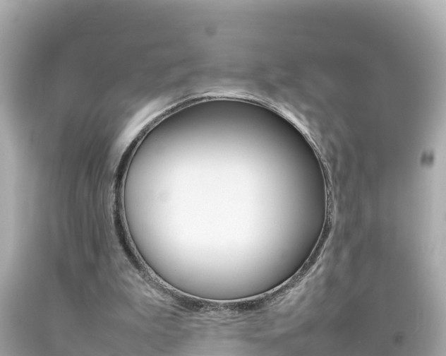 X0000092050199200709121032