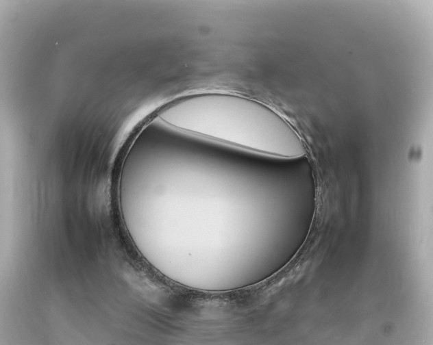 X0000092050200200709121032