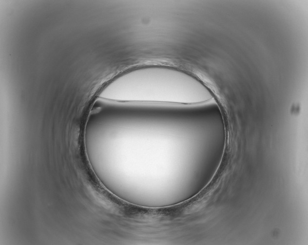 X0000092050201200709121032