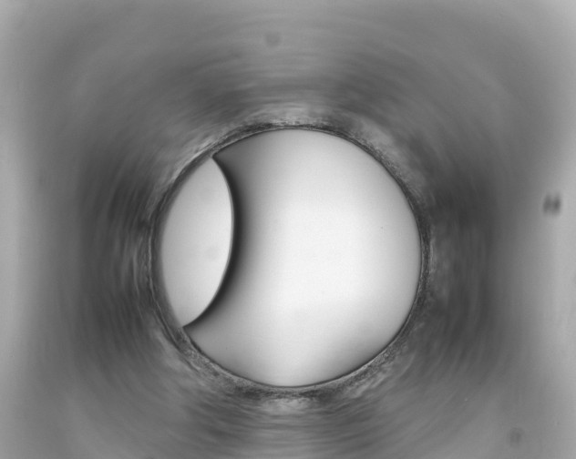 X0000092050202200709121032