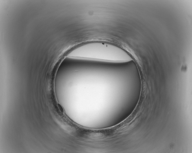 X0000092050203200709121032