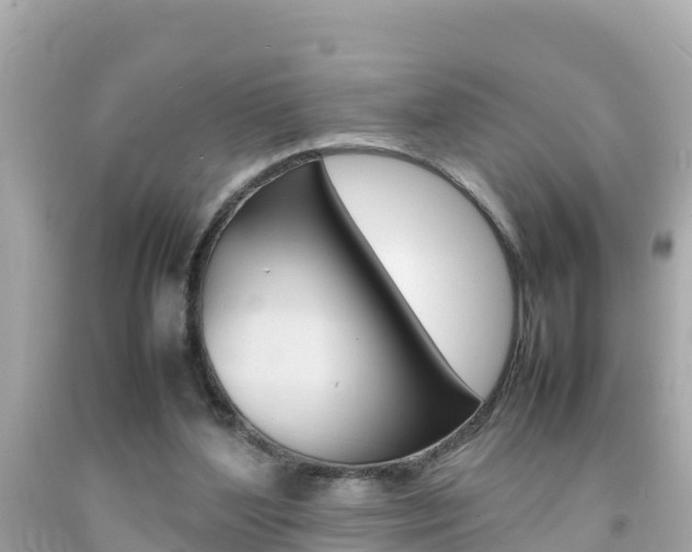 X0000092050204200709121032