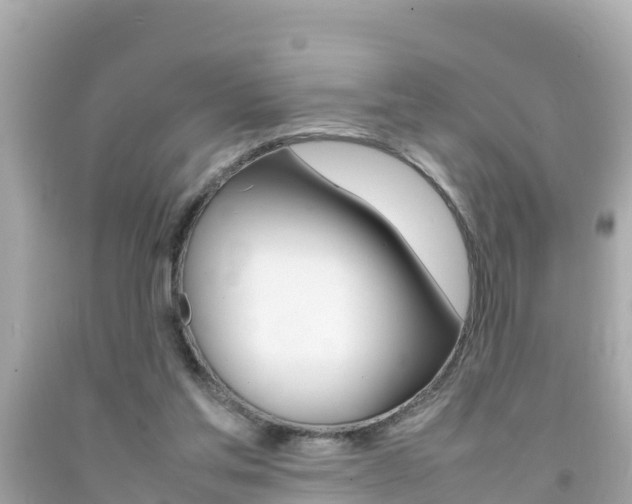 X0000092050205200709121032