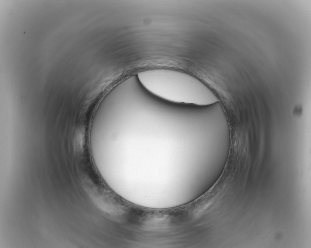 X0000092050206200709121032