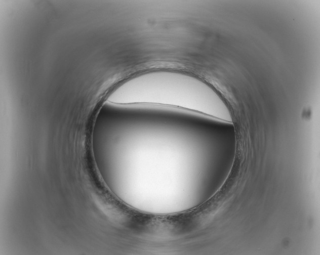 X0000092050207200709121032