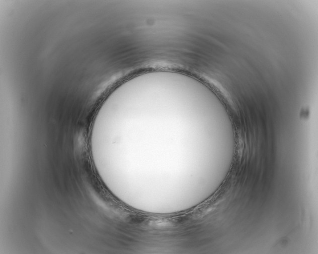 X0000092050208200709121032