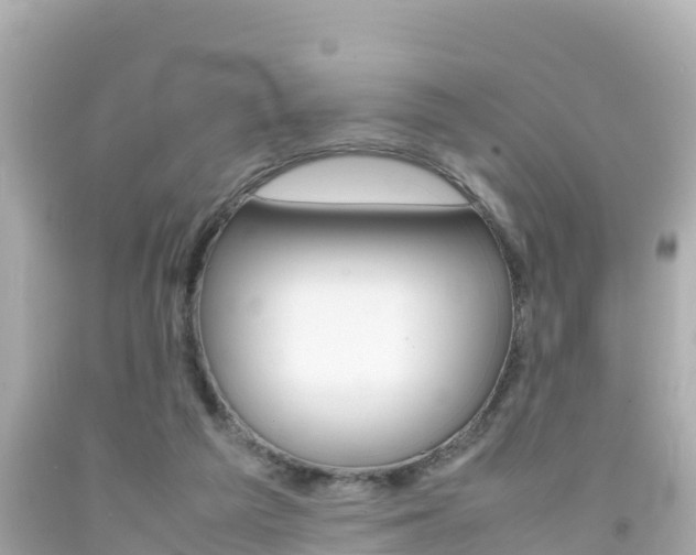 X0000092050209200709121032