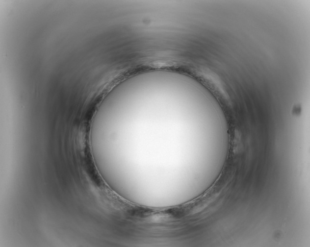 X0000092050210200709121032