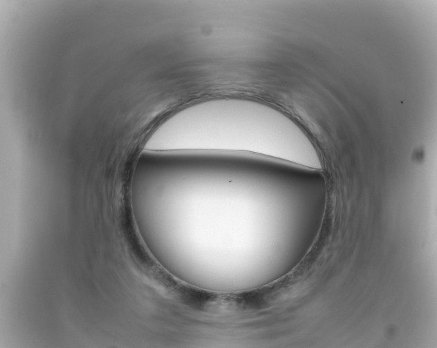 X0000092050211200709121032