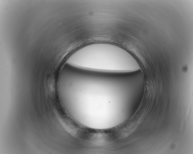 X0000092050212200709121032