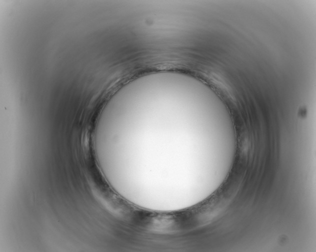 X0000092050214200709121031